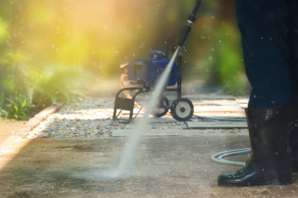 Animal Enclosure Cleaning in Lacoste, TX